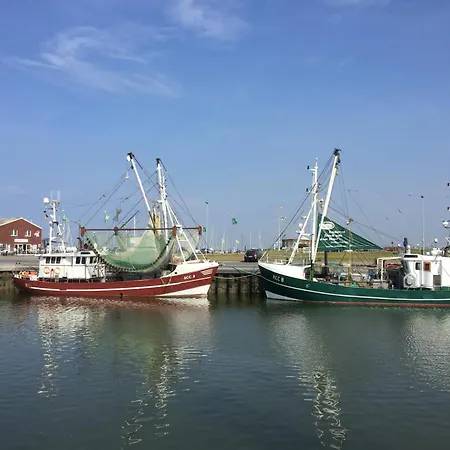 بيت للعطل Neu